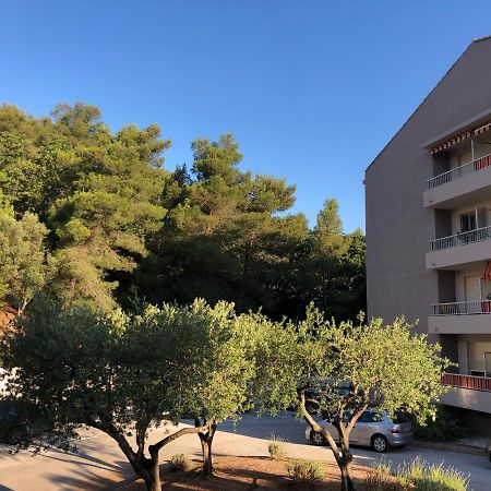 Grand Studio A Hyeres Entre Mer Et Ville 外观 照片