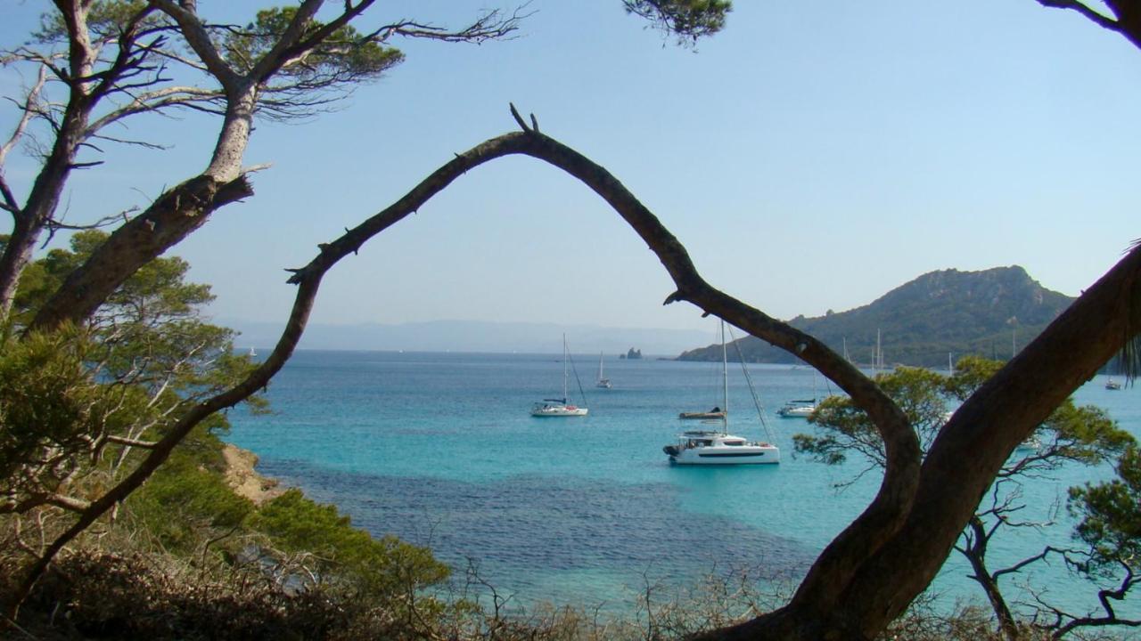 Grand Studio A Hyeres Entre Mer Et Ville 外观 照片