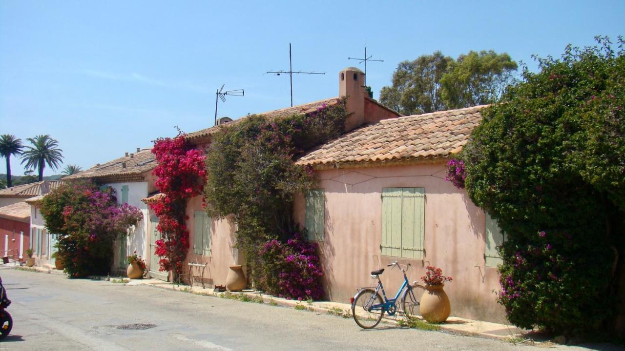 Grand Studio A Hyeres Entre Mer Et Ville 外观 照片