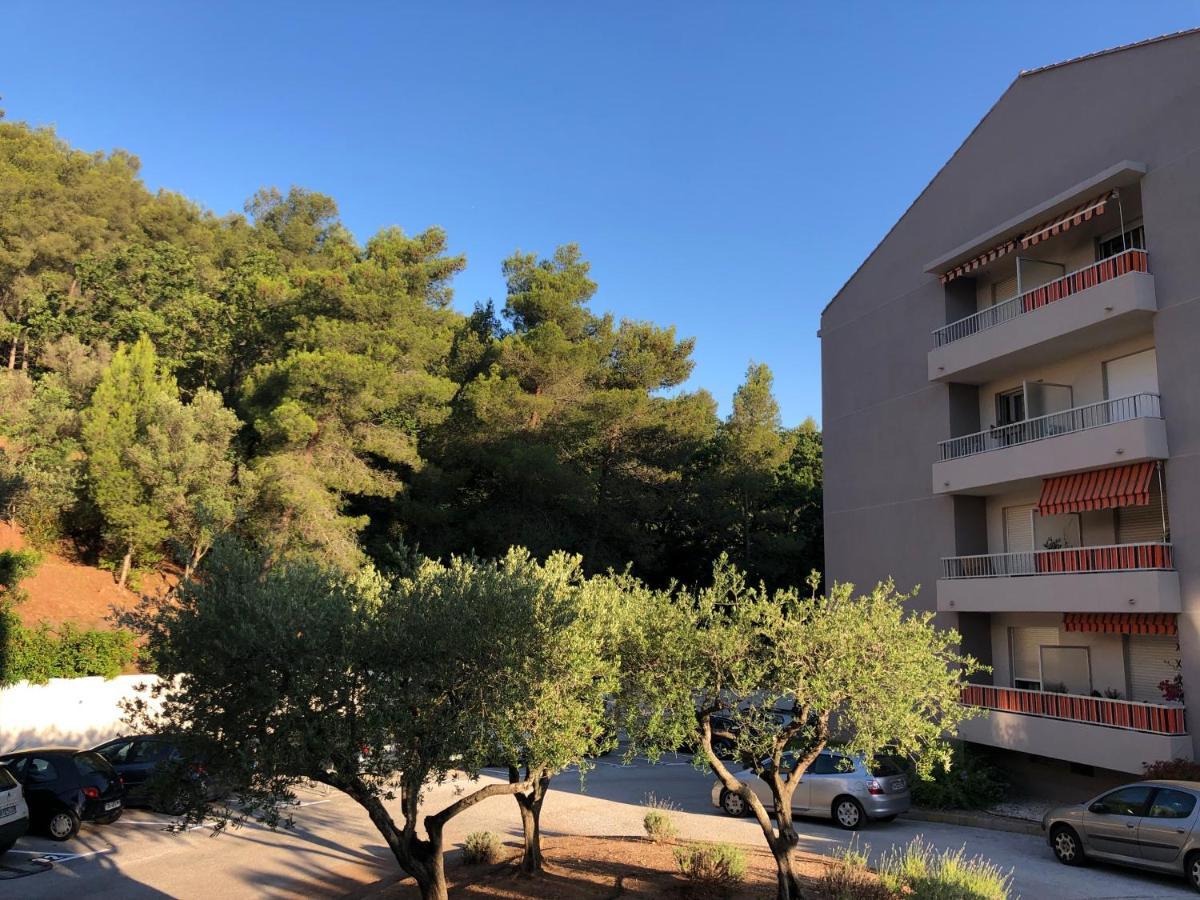 Grand Studio A Hyeres Entre Mer Et Ville 外观 照片