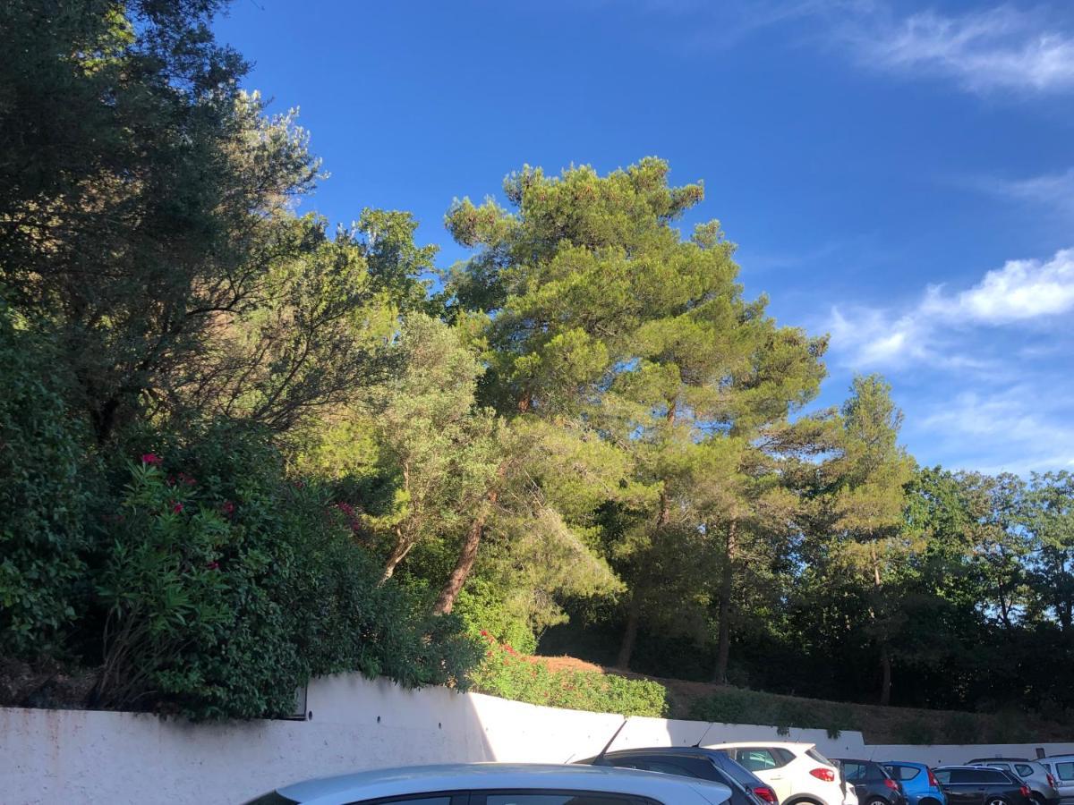 Grand Studio A Hyeres Entre Mer Et Ville 外观 照片